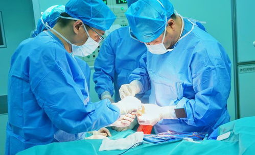 融合尖端医疗与美学服务 高难度消化内镜四级手术与生活美容的现代健康管理新理念